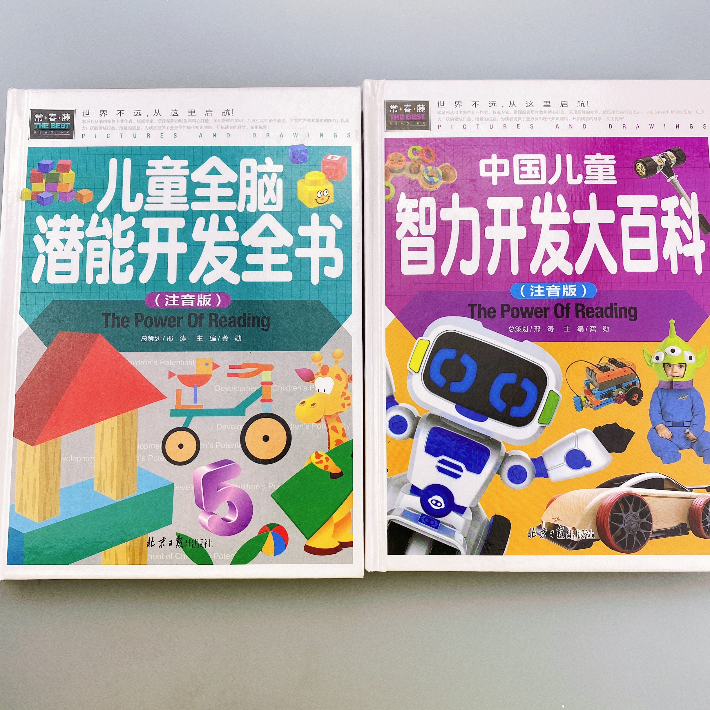 全套2本 全脑思维测试题 3-6岁思维逻辑训练书 大中小班幼儿益智思维训练书籍 开发大脑智力宝宝幼儿园儿童早教数学游戏左右脑记忆