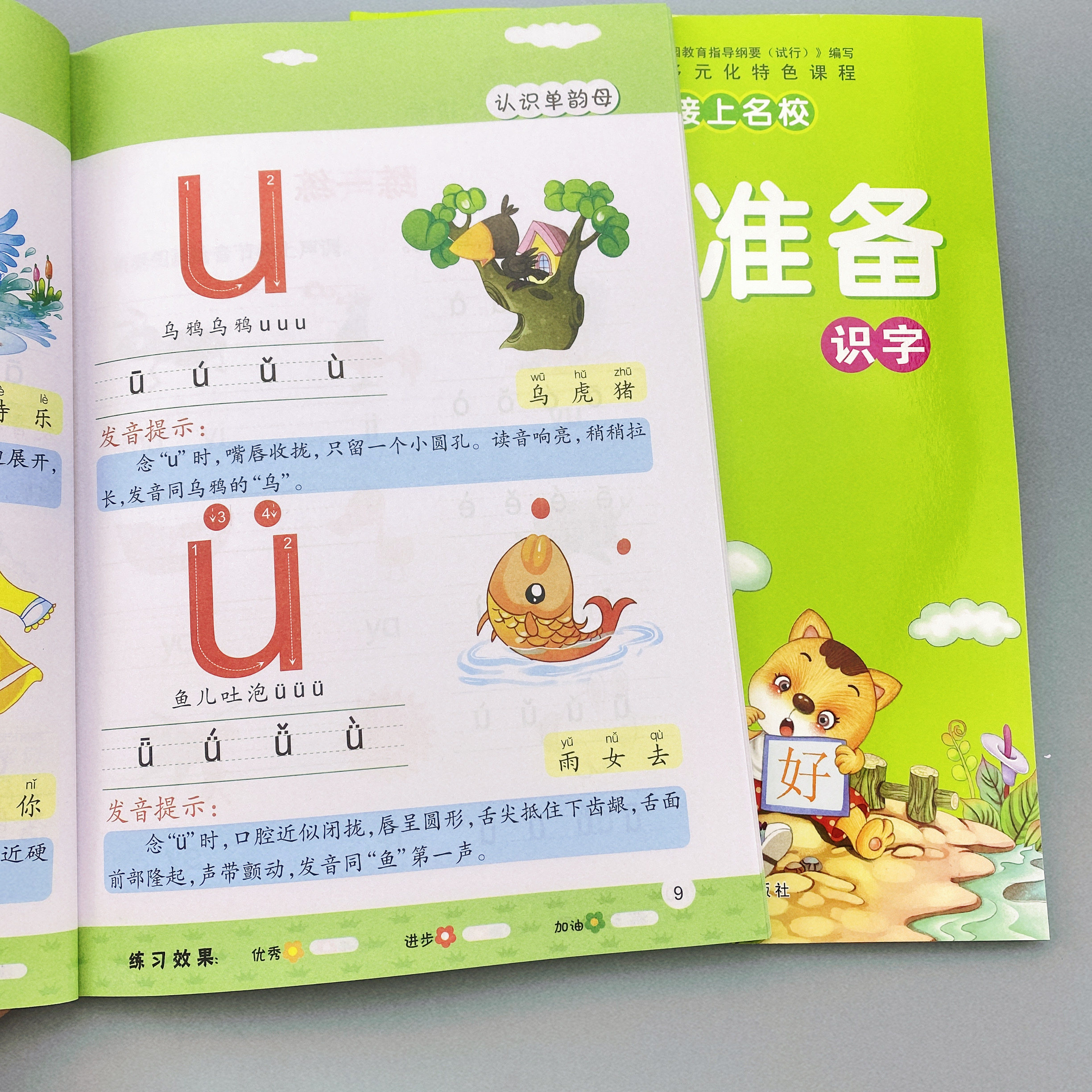 全套2本幼儿园书籍早教学前班教材 幼小衔接识字拼音学习幼儿学前训练书识字小学大班升一年级幼升小儿童语文练习6岁入学准备