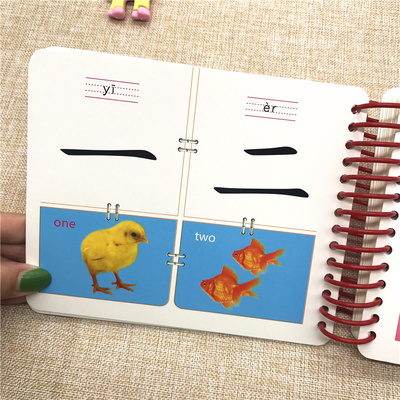 撕不烂看图识字卡片 3-6岁学龄前儿童基础认字宝宝看图识字大王全套 0-1岁婴幼儿启蒙早教识字卡幼儿园教材大班升一年级入学准备