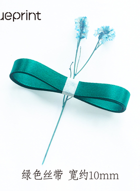 礼物包装丝带缎带Blueprint 绿色丝带 约10mm宽 手工材料diy