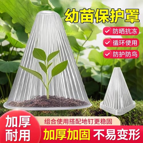 育苗保护罩加厚幼苗植物钟罩大棚菜苗霜冻大号保护防虫罩育苗神器