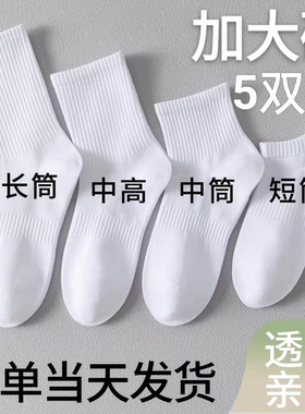 ins潮春夏季男女士中筒袜黑白纯棉运动袜简约短袜长筒袜无骨防臭