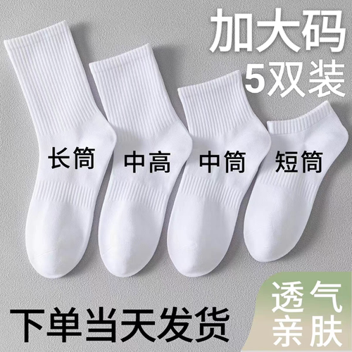 ins潮春夏季男女士中筒袜黑白纯棉运动袜简约短袜长筒袜无骨防臭