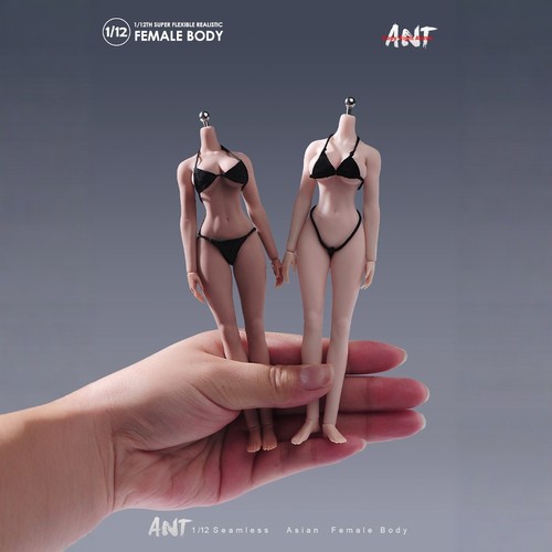现货  ANT 1/12 N306  可动人偶女素体健美运动版素体 兵人手办