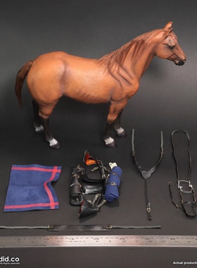 现货 DID 1/6最后武士陆军上尉纳森汤姆克鲁斯NS80186 战马E60082