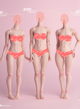 现货 WorldBox 1/6AT201 202 203女兵人关节素体 可动人偶模型