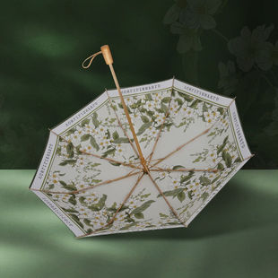 vonlilienfeld折叠雨伞女生高颜值太阳伞晴雨两用双层防晒遮阳伞