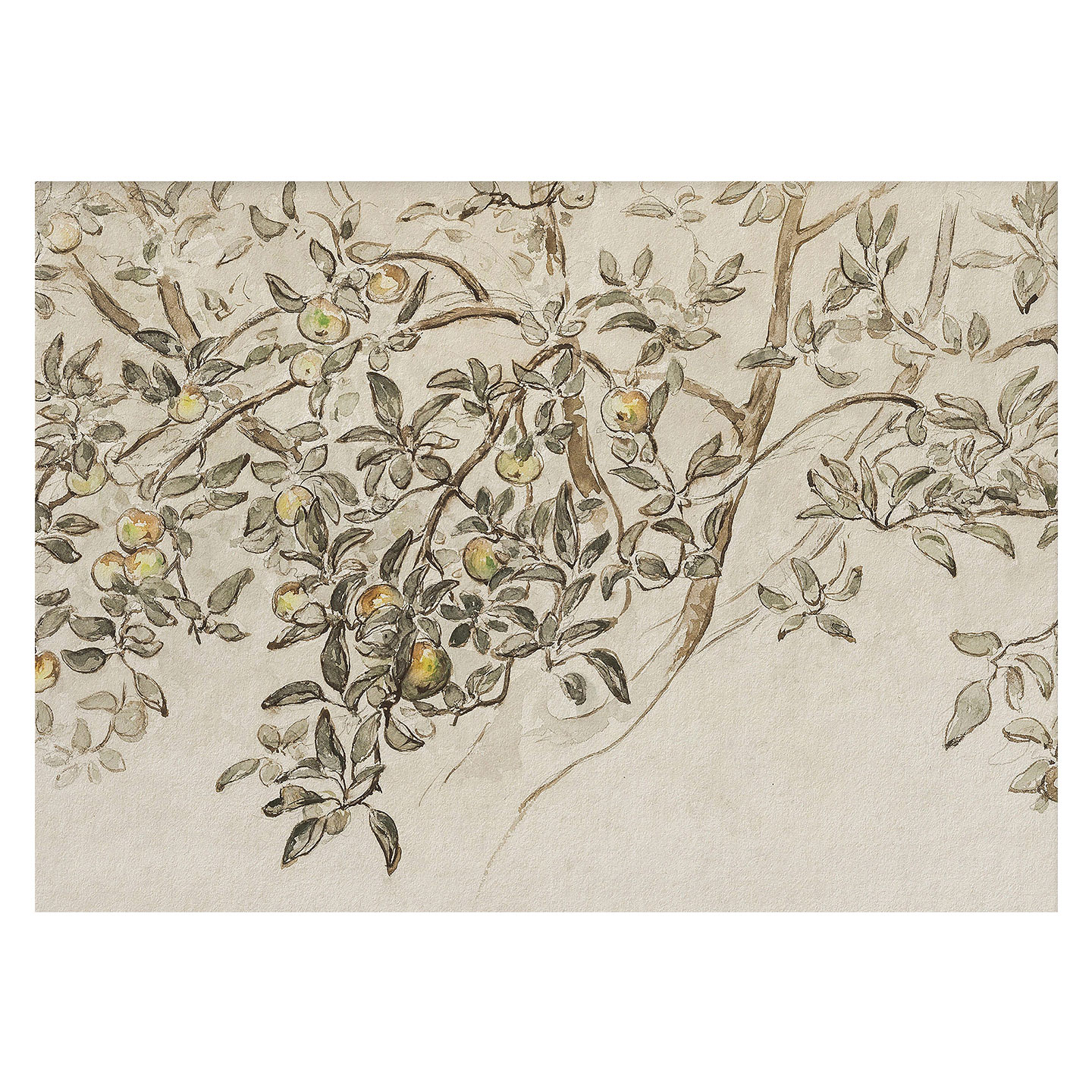 中古风法式复古素描植物线稿小众艺术装饰画打印画芯贴画海报图片