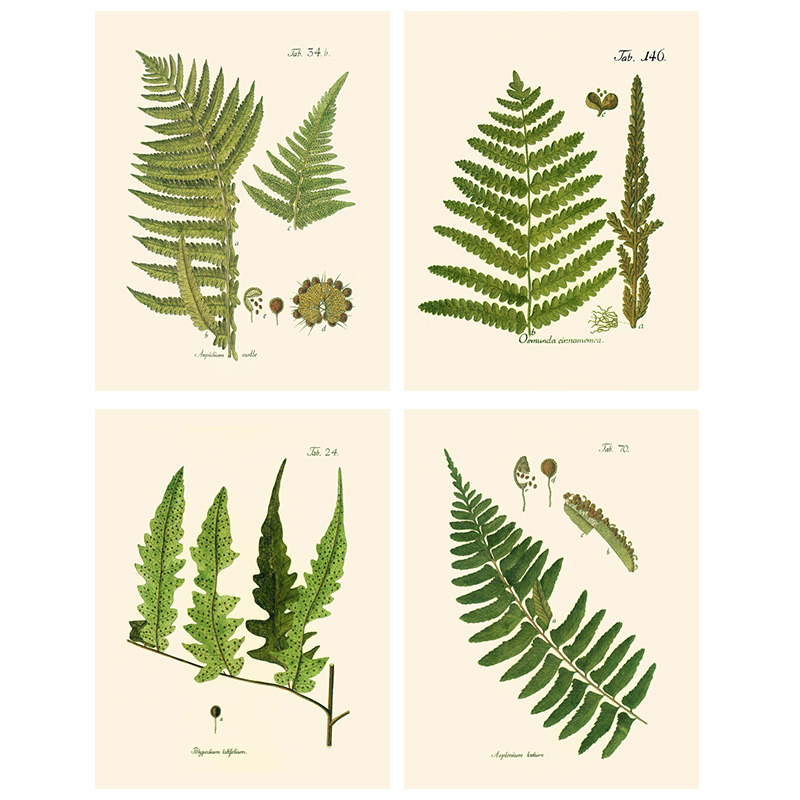 美式风叶脉植物喷绘沙发装饰画