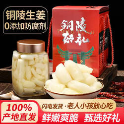 原产地正宗铜陵白姜0添加糖醋泡姜嫩姜片腌制新鲜即食泡仔姜