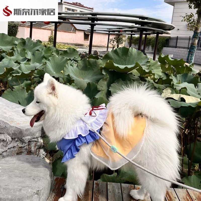 遛狗裙假装遛狗裙狗狗衣服宠物春夏公主大中型犬绑带网纱裙宠物狗,宠物/宠物食品及用品,狗宠物服装/雨衣,淘宝优惠券,粉丝福利购,淘宝优惠卷