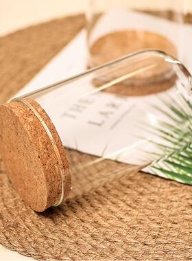 防尘罩亚克力软木塞玻璃罩展示盒创意防尘罩DIY摆件永生花玻璃罩3