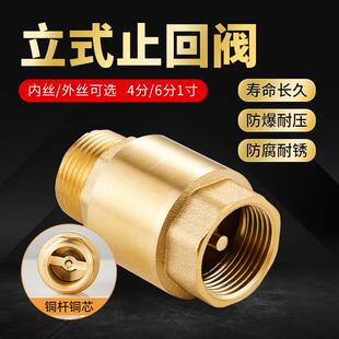 全铜4/6分1寸立式止回阀内外双丝水管止回阀ppr单向阀逆止流阀