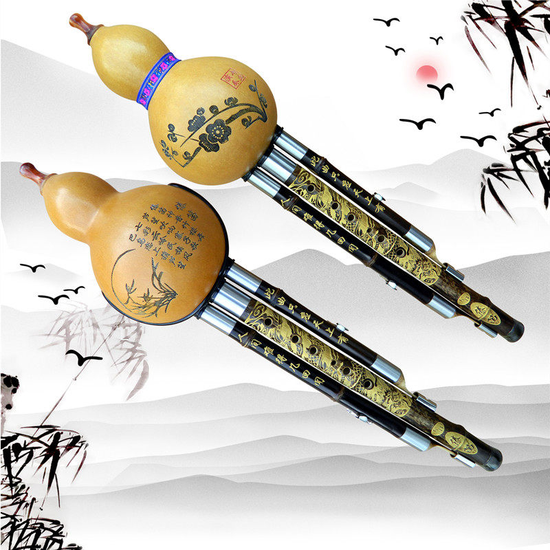 葫芦丝降b调初学乐器c调FGD调成人儿童专业演奏学生教学防摔紫竹