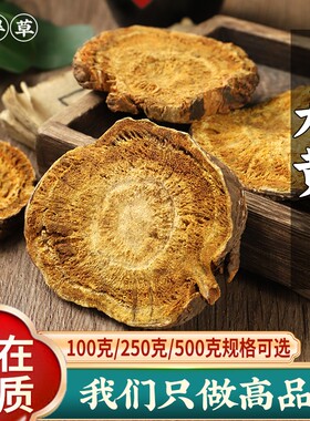甘肃正品野生马蹄大黄