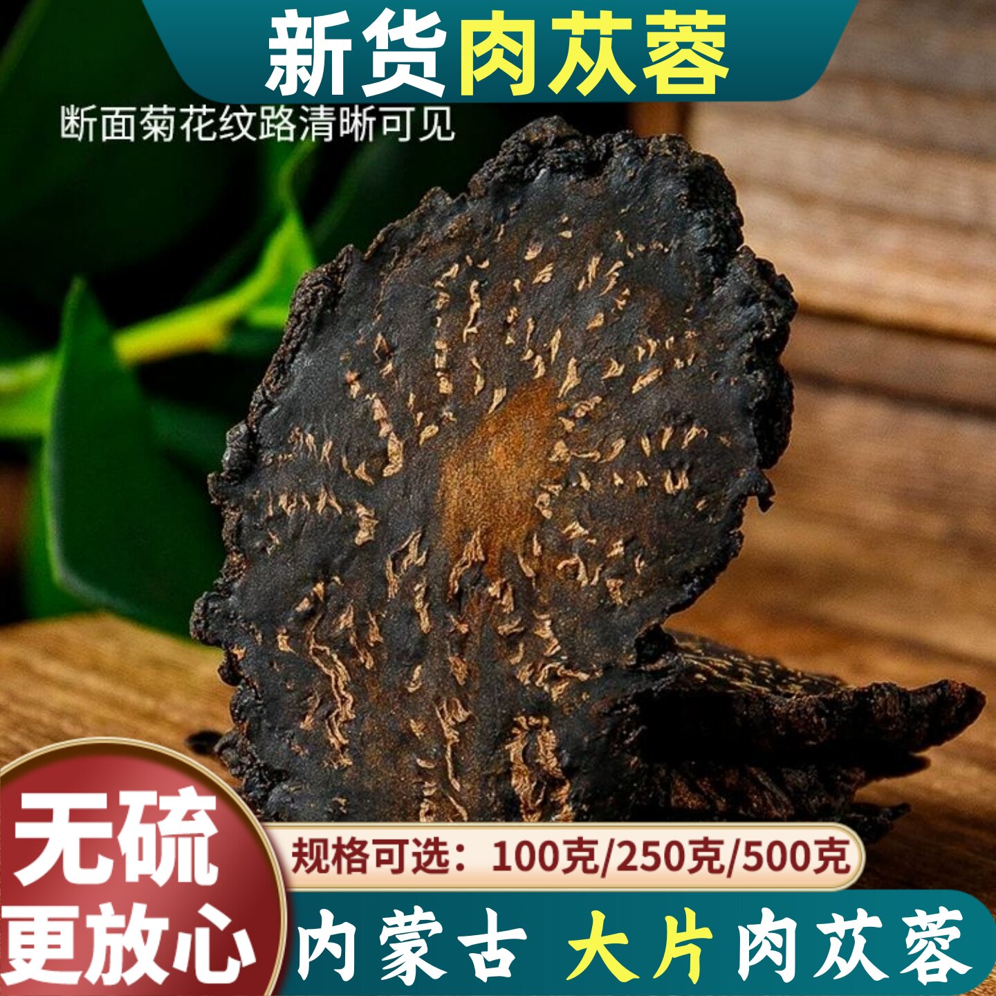 正宗内蒙古阿拉善肉苁蓉500g搭配锁阳淫羊藿叶菟丝子覆盆泡茶泡酒