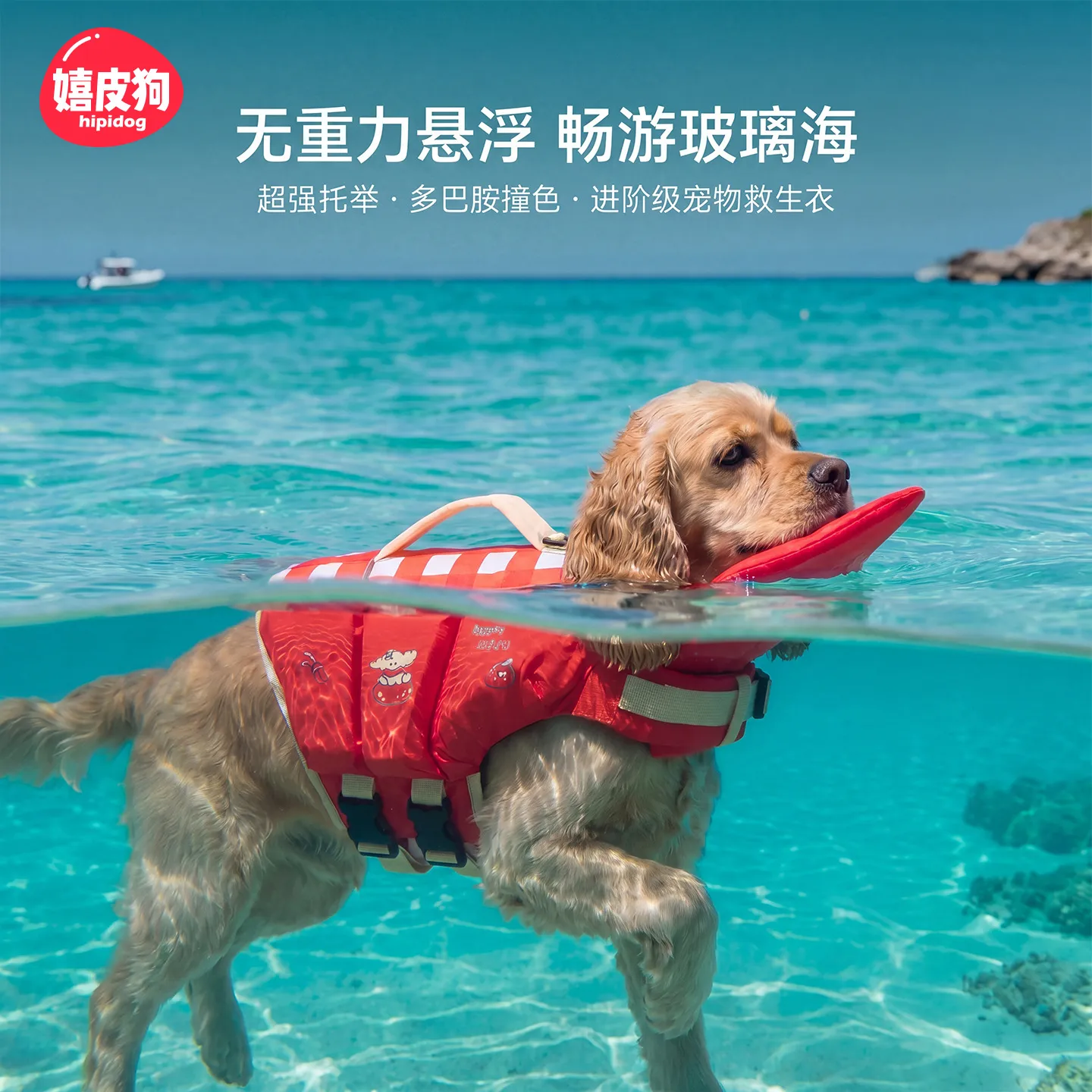 宠物泳衣中大小型犬金毛比熊夏天游泳衣服卡通强力狗狗浮力救生衣