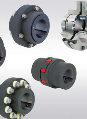 CZ/100L-99Z  联轴器 制动器