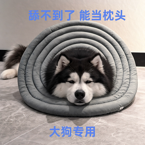 超大加长大狗伊丽莎白圈防抓防舔抓萨摩金毛拉布拉多阿拉斯加2603