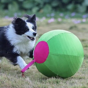 升级款大狗充气球玩具训练球金毛边牧阿拉斯加拉布拉多德牧2601