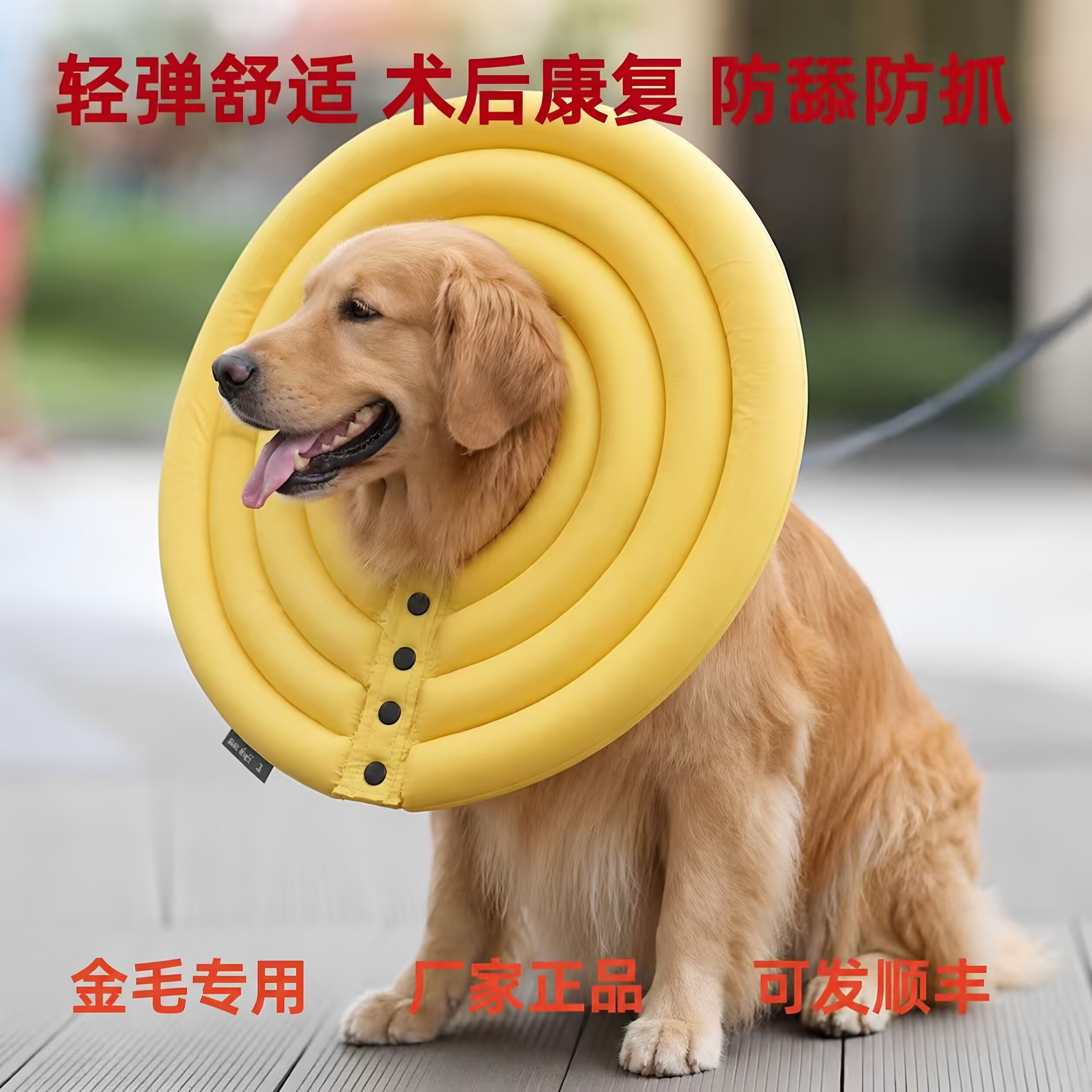 金毛伊丽莎白圈轻软脖圈防舔咬抓皮肤后腿腹部绝育术后康复0515