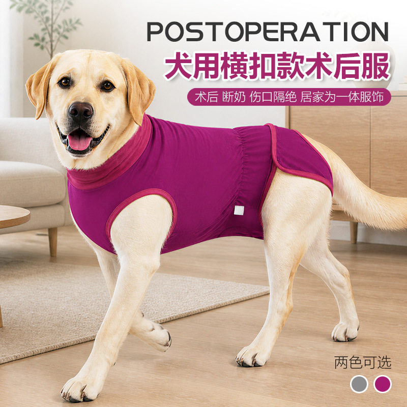 公母狗狗绝育术后服防舔皮肤棉质金毛西高地边牧拉布拉多柴犬0705