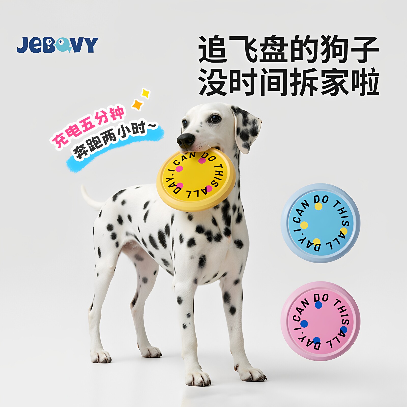 大狗塑料飞盘玩具户外训练互动解闷金毛边牧西高地杰克罗素梗0627
