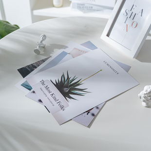 ins英文拍照卡片 街拍模特服装店挂拍照道具直播摄影背景杂志封面