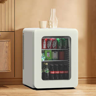 法国HOMESUN静音迷你小型冰吧玻璃门冷藏柜复古饮料美妆小冰箱