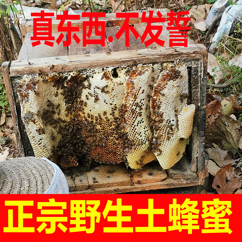 野生土蜂蜜神農架野生土蜂蜜