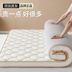 黄麻护脊腰卧室家用床垫单人垫子榻榻米租房专用可折叠床垫子软垫