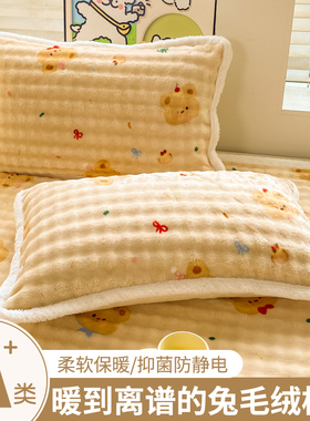 牛奶绒枕芯枕套一对装新款枕头内胆套48cmX74cm单个毛绒枕头套冬