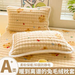 牛奶绒枕芯枕套一对装 枕头内胆套48cmX74cm单个毛绒枕头套冬 新款