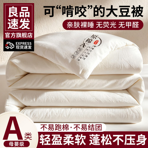 大豆纤维加厚保暖四季被