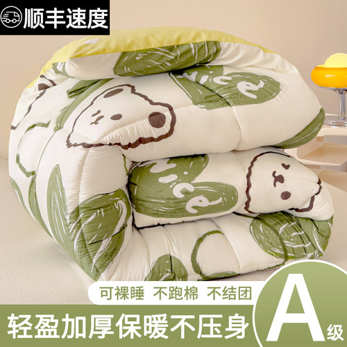 四季通用加厚保暖冬被
