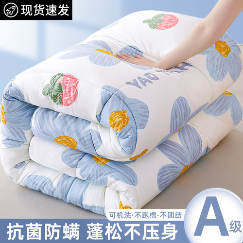 加厚保暖被芯四季通用