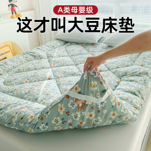 床垫家用垫子地垫软垫卧室租房专用榻榻米垫子单人防滑垫褥子 新款