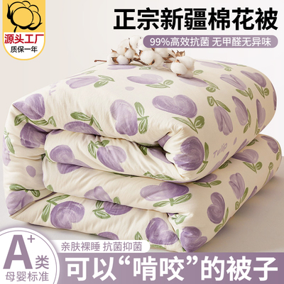 新疆纯棉全棉被子春秋加厚冬被