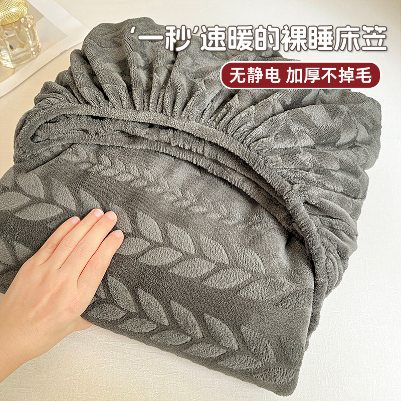 冬季纯色牛奶绒床笠罩单件2025新款加厚保暖床罩珊瑚绒床垫保护罩