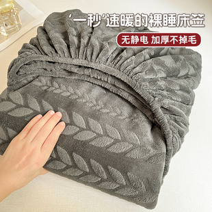 冬季纯色牛奶绒床笠罩单件2025新款加厚保暖床罩珊瑚绒床垫保护罩