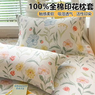 纯棉枕套100全棉枕头套一对装 2025新款 48x74cm单人枕芯套大号家用