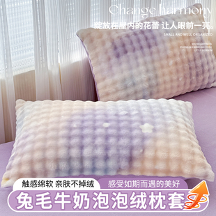 牛奶绒枕套冬天加绒加厚一对装 卡通家用珊瑚法兰绒 48cmX74cm冬季