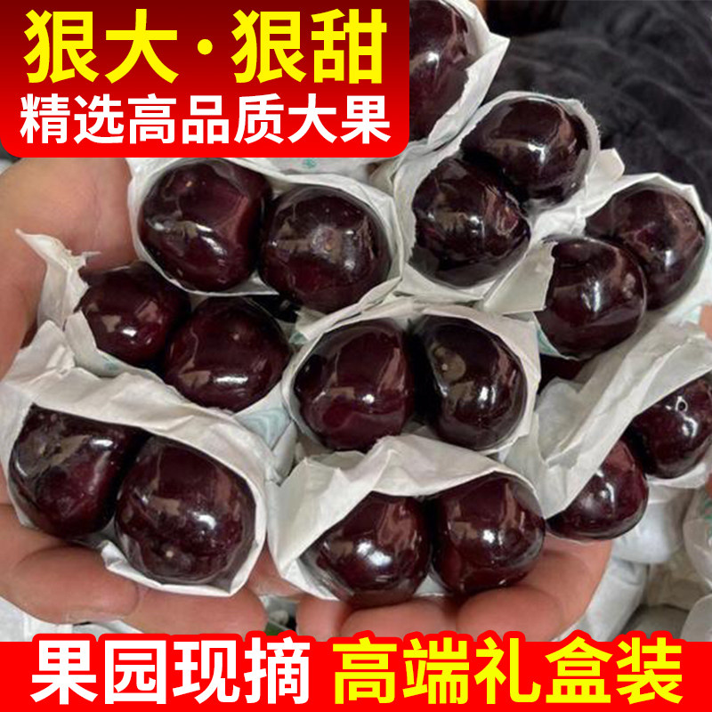 四川樱桃应季汉源车厘子黑珍珠现摘现发新鲜顺丰冷链直达精选特级