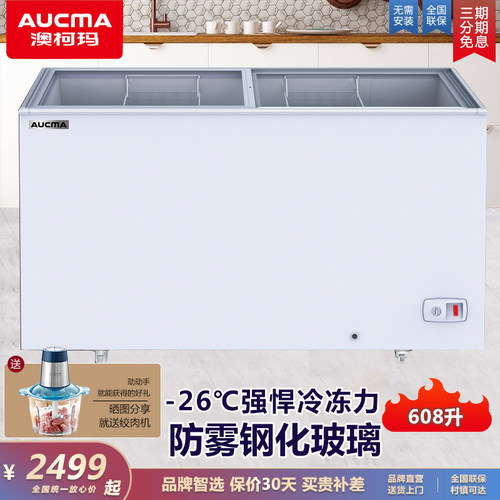 澳柯玛冷冻展示柜雪糕柜