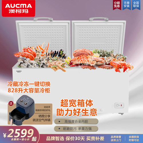 商用大容量冰柜澳柯玛