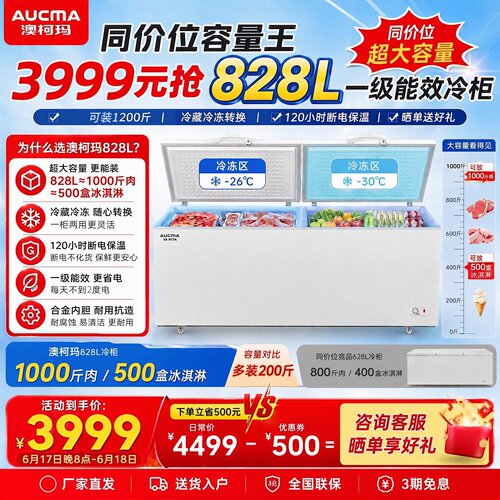 商用大容量冰柜澳柯玛