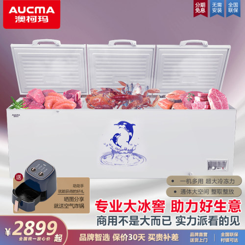 澳柯玛730828商用冰柜冷柜