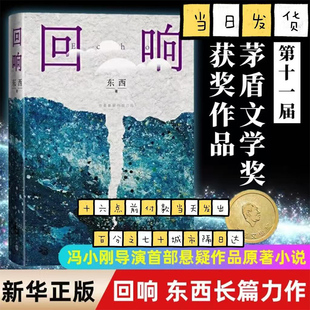 回响东西著2023年第十一届茅盾文学奖2021中国好书余华冯小刚陈建斌推荐站 都市 情感推理 悬疑 人性 人民文学