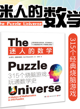 正版包邮 迷人的数学畅销书大脑游戏天书作者精心原创315个经典烧脑游戏轻松愉快中锻炼数学思维