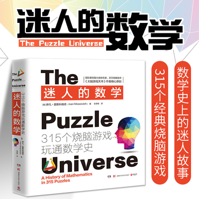 正版包邮 迷人的数学畅销书大脑游戏天书作者精心原创315个经典烧脑游戏轻松愉快中锻炼数学思维